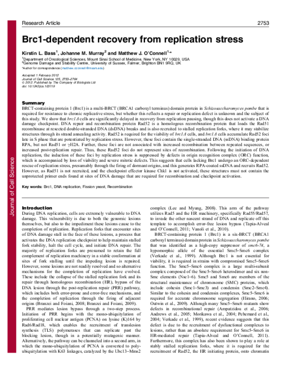(PDF) Brc1-dependent recovery from replication stress