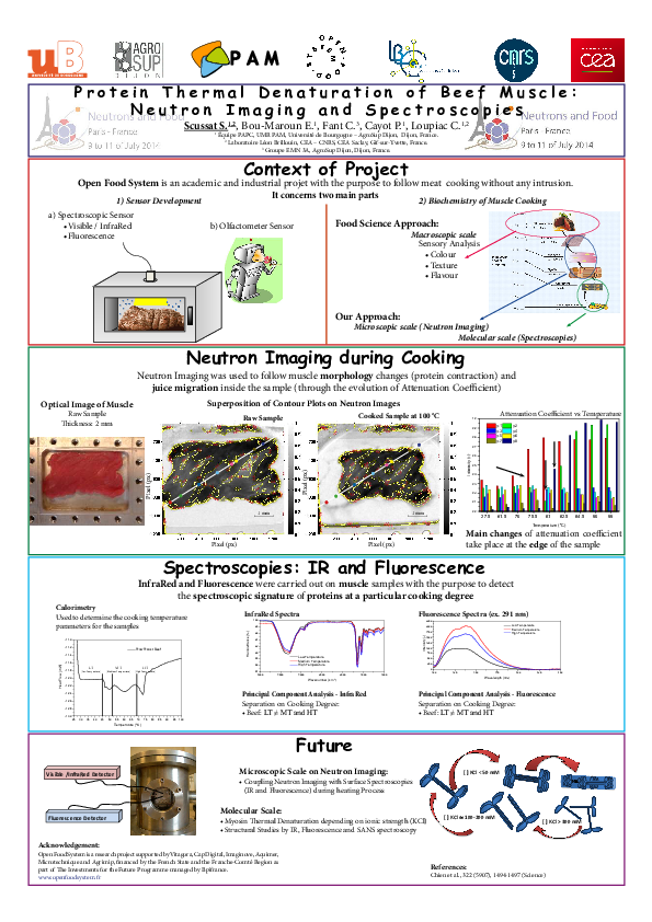 (PDF) Poster Protein Thermal Denaturation of Beef Muscle