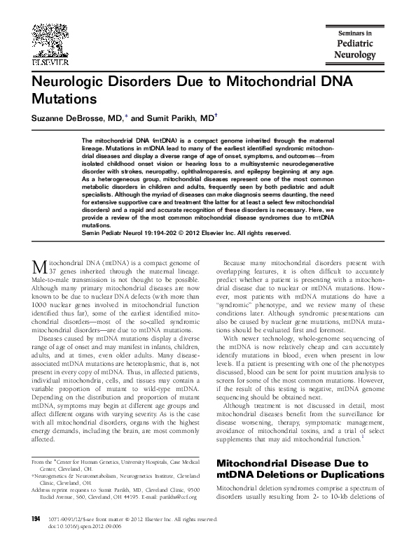 Mitochondrial dna essay picture