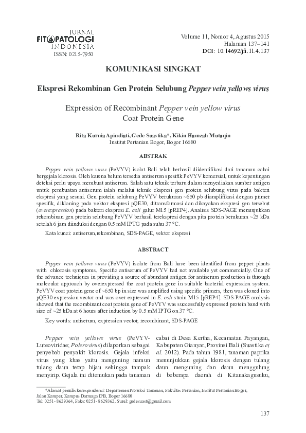 Pdf Ekspresi Rekombinan Gen Protein Selubung Pepper Vein Yellows Virus Expression Of Recombinant Pepper Vein Yellow Virus Coat Protein Gene Kikin Mutaqin Academia Edu