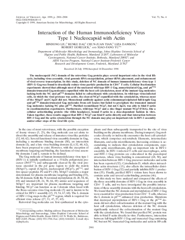 (PDF) Interaction of the human immunedeficiency virus type 1 ...