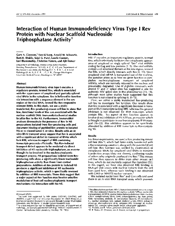 (PDF) Interaction of Human Immunodeficiency Virus Type 1 Envelope ...