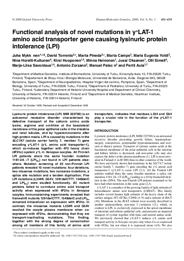 (PDF) Functional analysis of novel mutations in y+LAT1 amino acid
