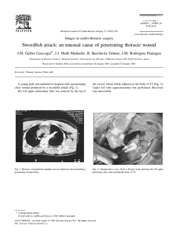 (PDF) Swordfish attack: an unusual cause of penetrating thoracic wound