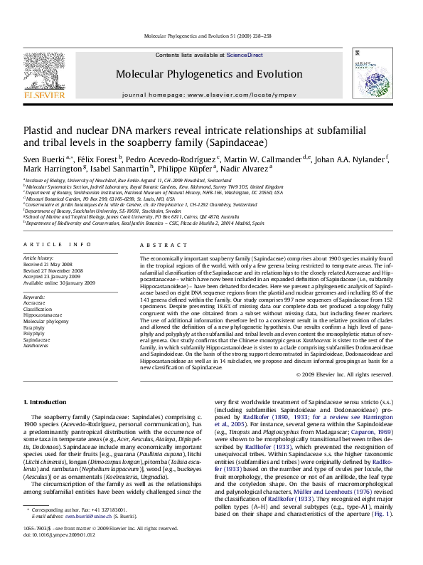 PDF Plastid And Nuclear DNA Markers Reveal Intricate Relationships At Subfamilial And Tribal