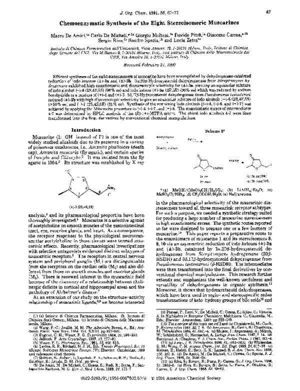 Pdf Chemoenzymic Synthesis Of The Eight Stereoisomeric Muscarines Sandro Spezia Academia Edu