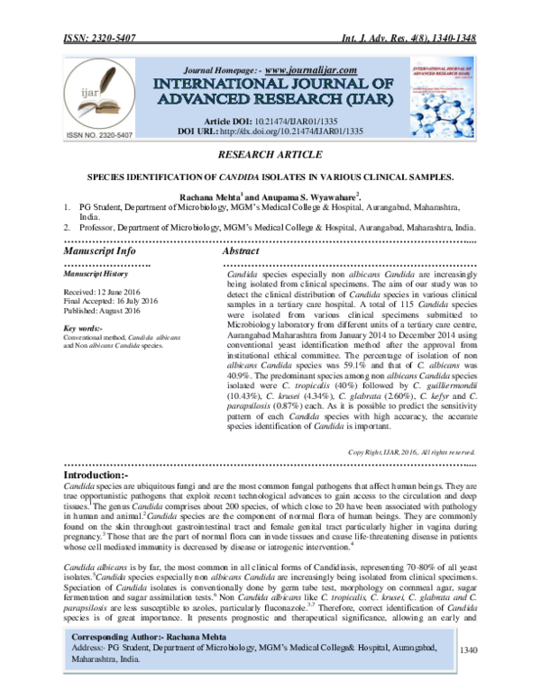 (PDF) SPECIES IDENTIFICATION OF CANDIDA ISOLATES IN VARIOUS CLINICAL ...