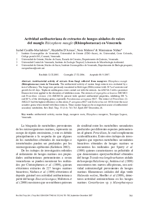 Hongos essay 03 picture