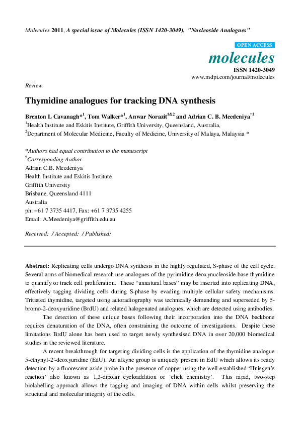 Nucleoside analogues examples picture