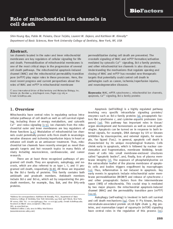 (PDF) Role of mitochondrial ion channels in cell death
