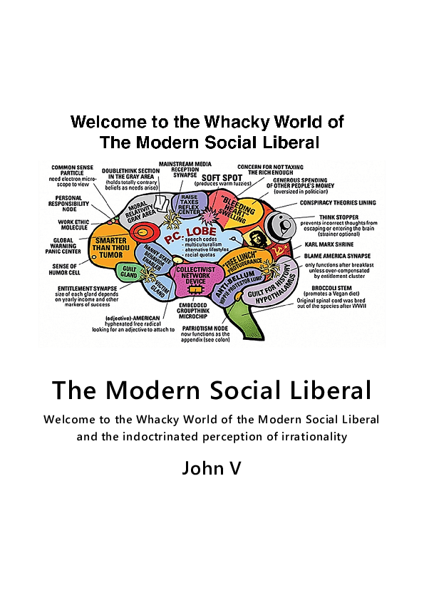 (PDF) The Modern Social Liberal John V Asia Teacher Academia.edu