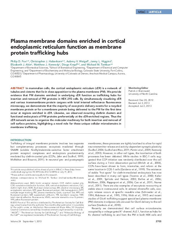 (PDF) Plasma membrane domains enriched in cortical endoplasmic ...