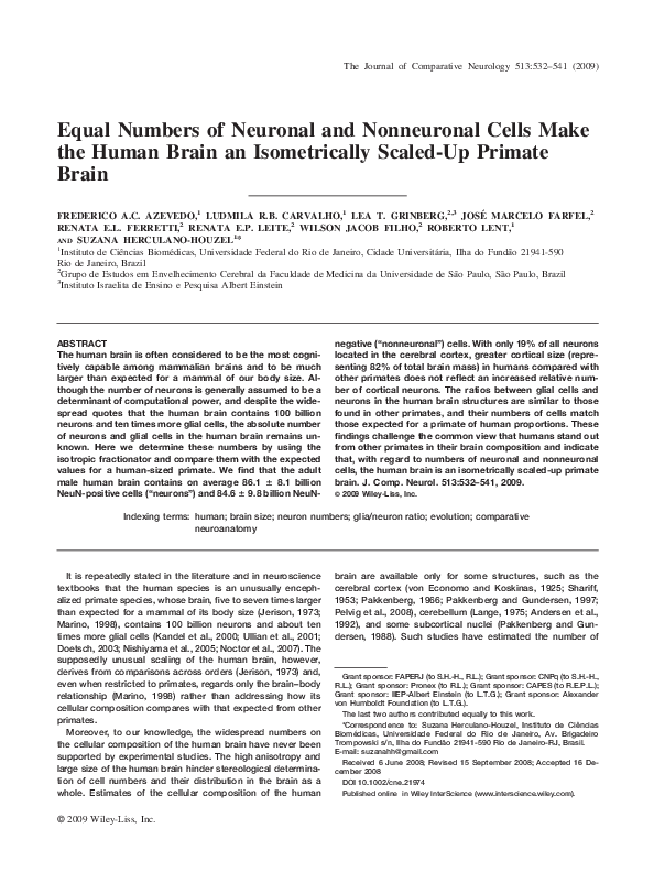 (PDF) Equal numbers of neuronal and nonneuronal cells make the human ...