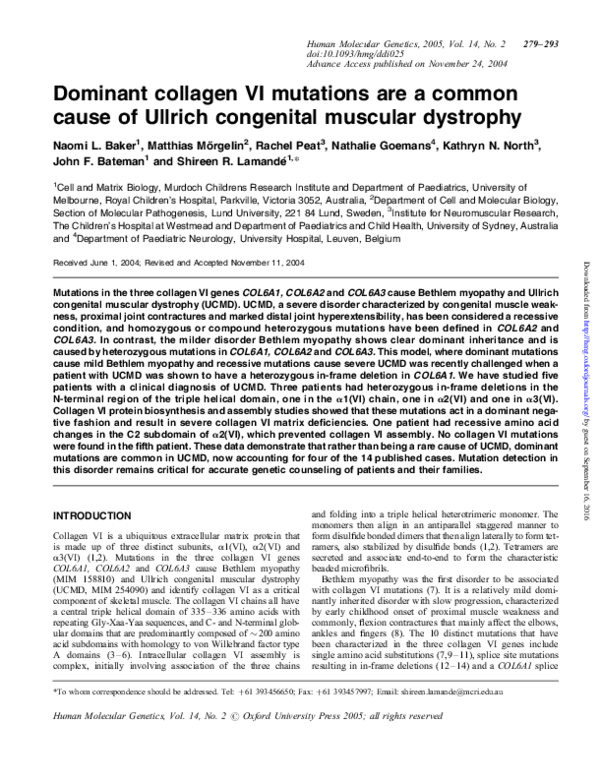 (PDF) Dominant collagen VI mutations are a common cause of Ullrich ...