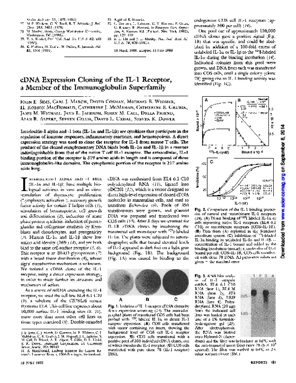 (PDF) cDNA expression cloning of the IL-1 receptor, a member of the ...