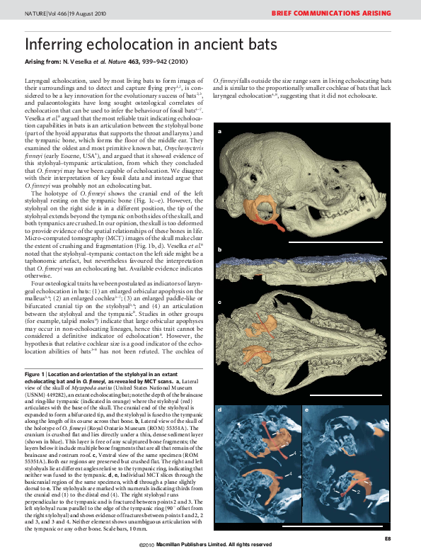 (PDF) Inferring echolocation in ancient bats Gregg F. Gunnell