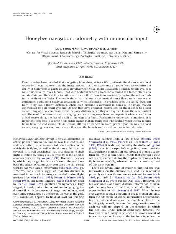 (PDF) Honeybee navigation: odometry with monocular input