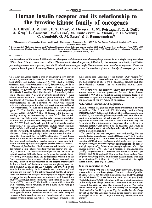 (PDF) Human insulin receptor and its relationship to the tyrosine ...