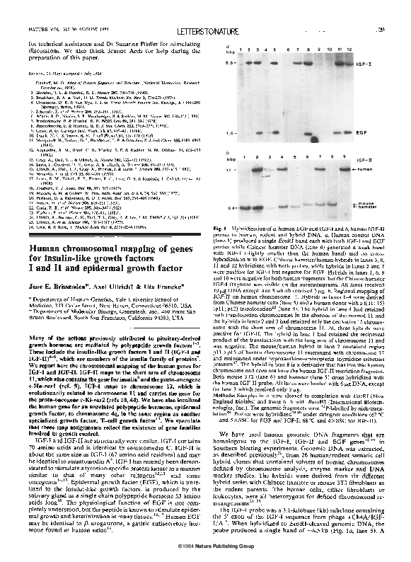 (PDF) Human chromosomal mapping of genes for insulin-like growth ...