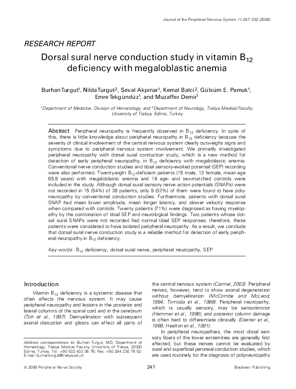 Macrocytic cells diagnosis picture