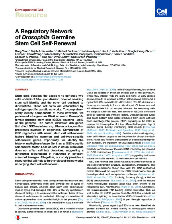 (PDF) A regulatory network of Drosophila germline stem cell self-renewal