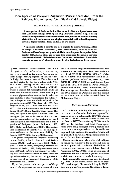 (PDF) New Species of Pachycara Zugmayer (Pisces Zoarcidae) from the