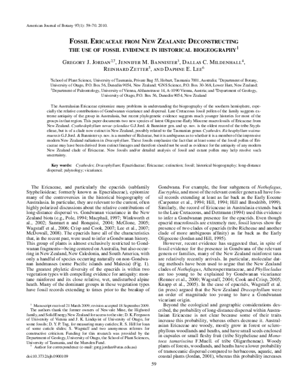 (PDF) Fossil Ericaceae from New Zealand Deconstructing the use of fossil evidence in historical