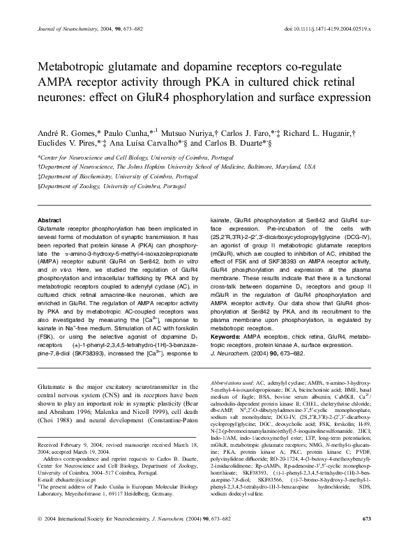 (PDF) Metabotropic glutamate and dopamine receptors co-regulate AMPA ...
