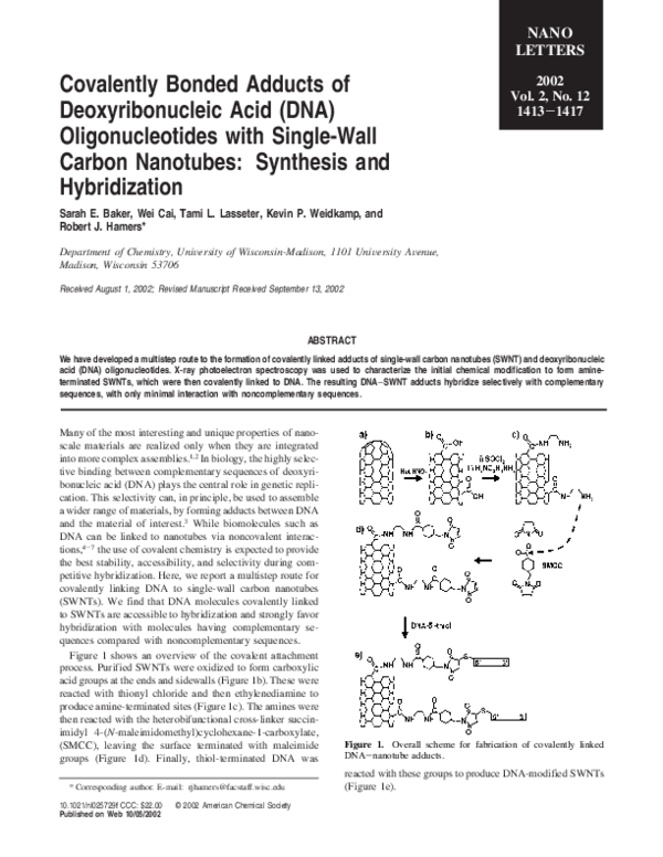 Where is dna found picture