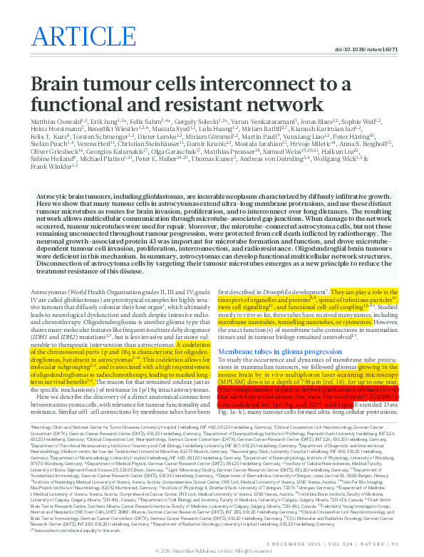 (PDF) Brain tumour cells interconnect to a functional and resistant network