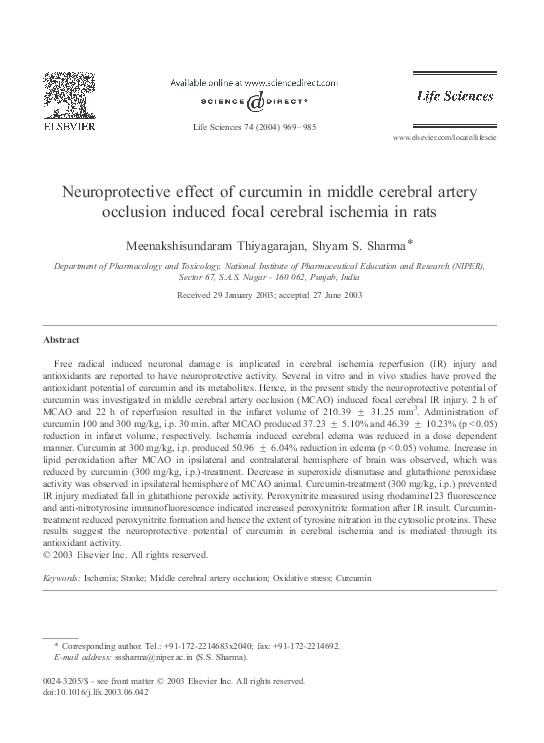 (PDF) Neuroprotective effect of curcumin in middle cerebral artery ...