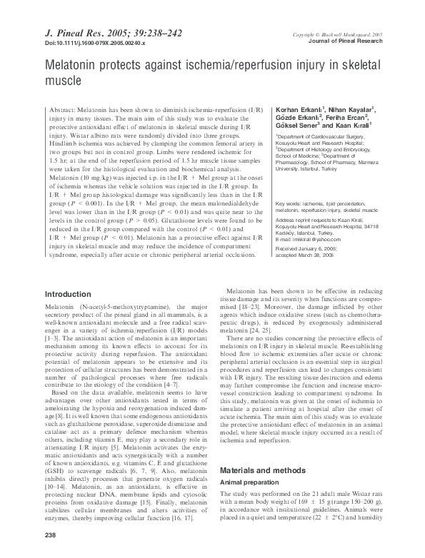 (PDF) Melatonin protects against ischemia/reperfusion injury in ...