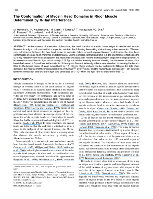 (PDF) The Conformation of Myosin Head Domains in Rigor Muscle ...