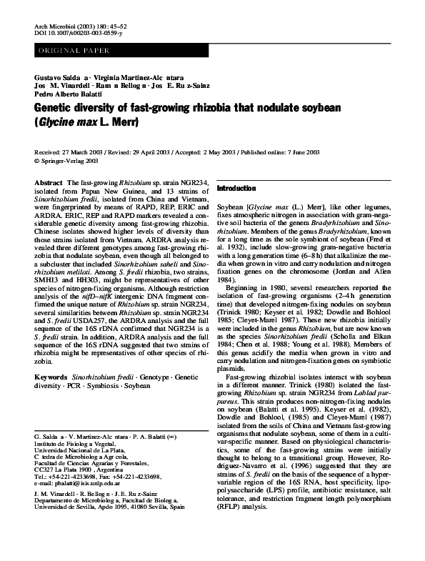 Rhizobia essay 06 picture