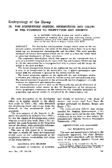 (PDF) Embryology of the sheep. III. The respiratory system, mesenteries ...