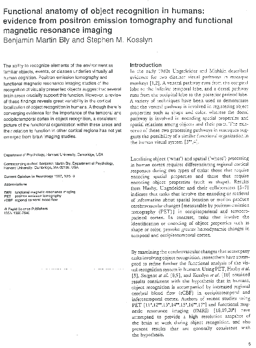 (PDF) Functional anatomy of object recognition in humans