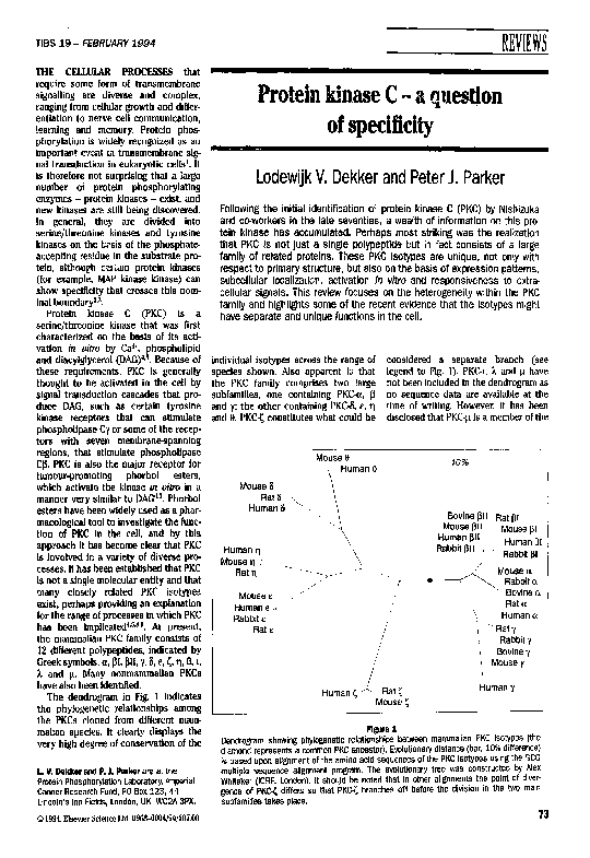 (PDF) Protein kinase C - a question of specificity