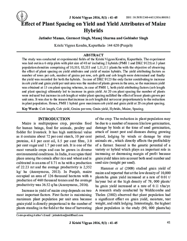 (PDF) Effect of Plant Spacing on Yield and Yield Attributes of Maize ...