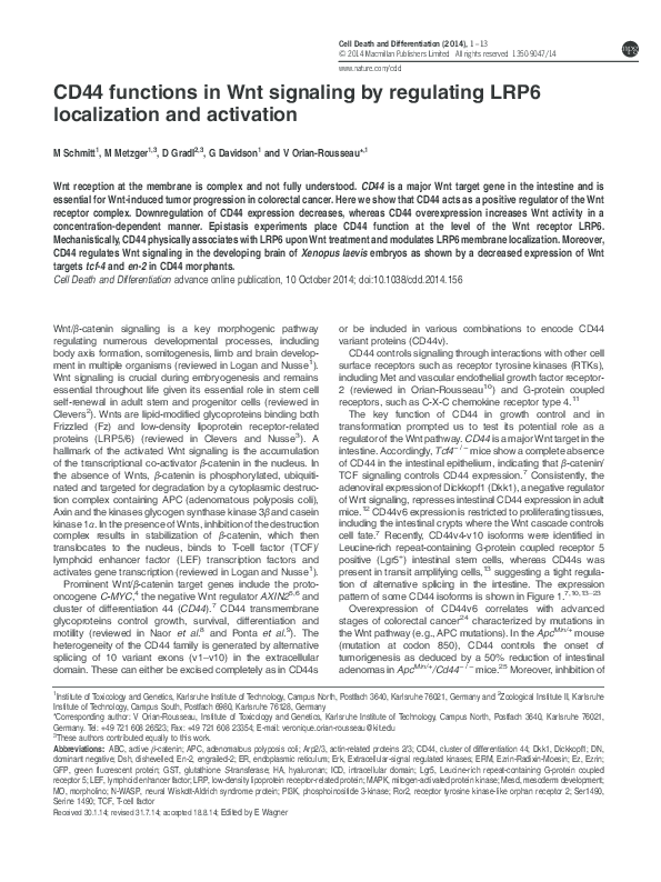 (PDF) CD44 functions in Wnt signaling by regulating LRP6 localization ...