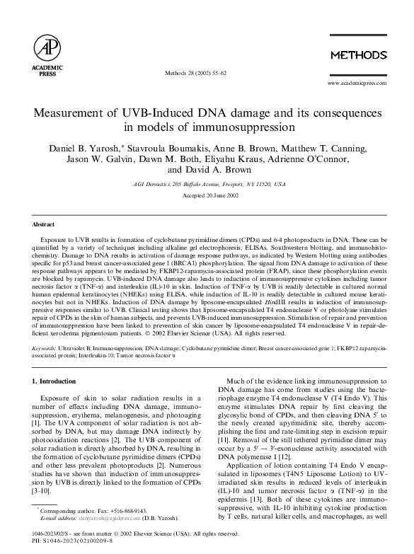 (PDF) Measurement of UVBInduced DNA damage and its consequences in