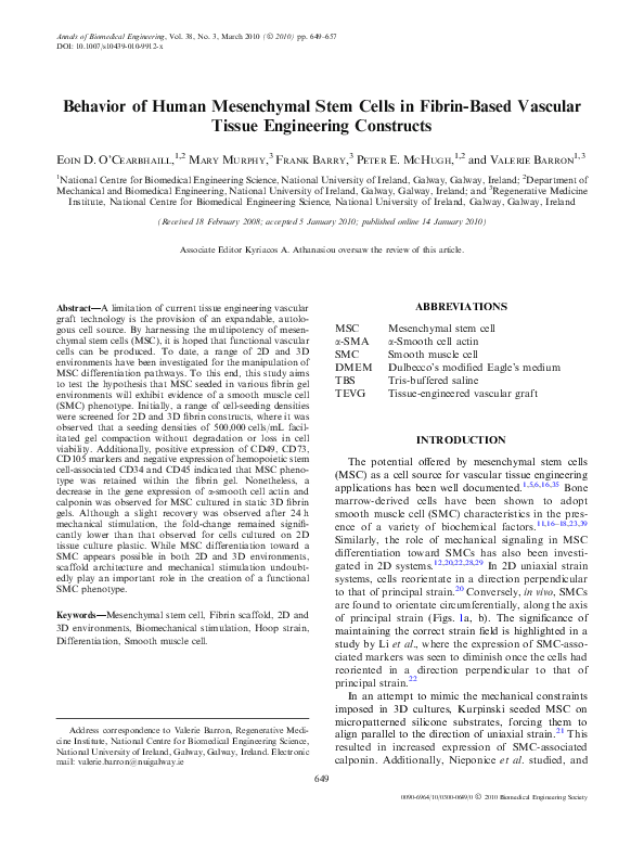 (PDF) Behavior of Human Mesenchymal Stem Cells in Fibrin-Based Vascular ...