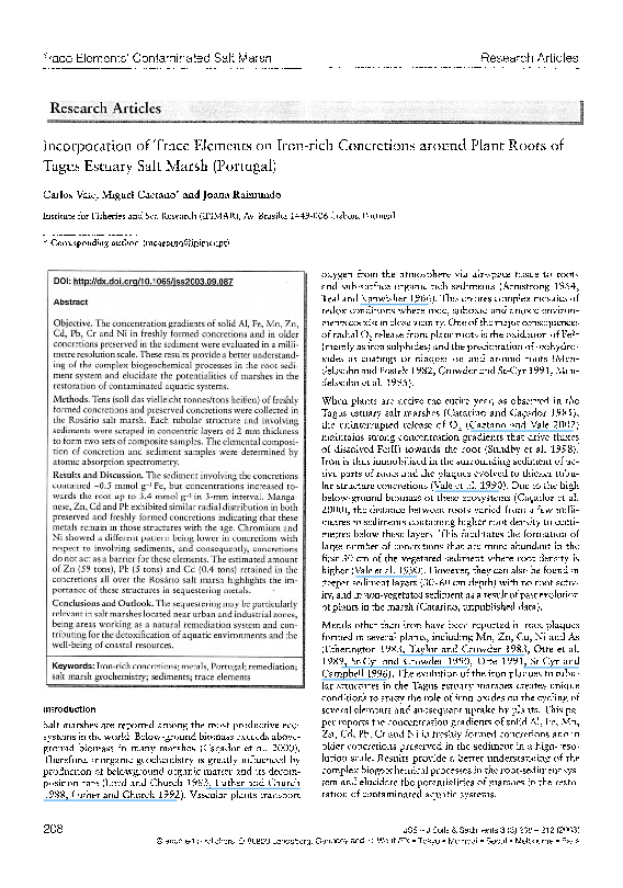 Concretions essay 05 image