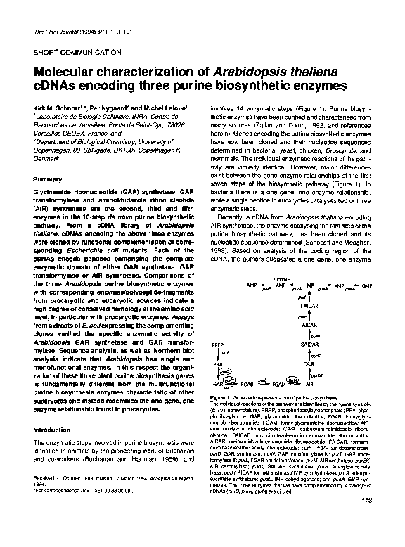 (PDF) Molecular characterization of Arabidopsis thaliana cDNAs encoding ...