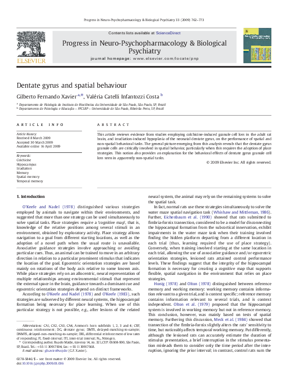 (PDF) Dentate gyrus and spatial behaviour