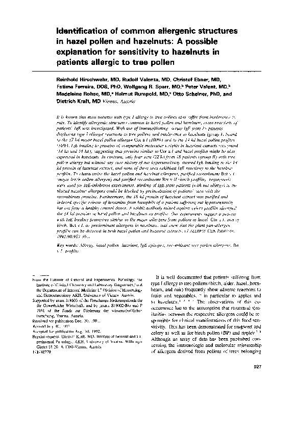 What is pollen image