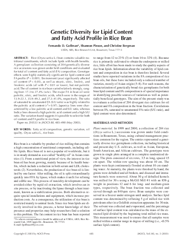 Rice essay prompts 2021 image