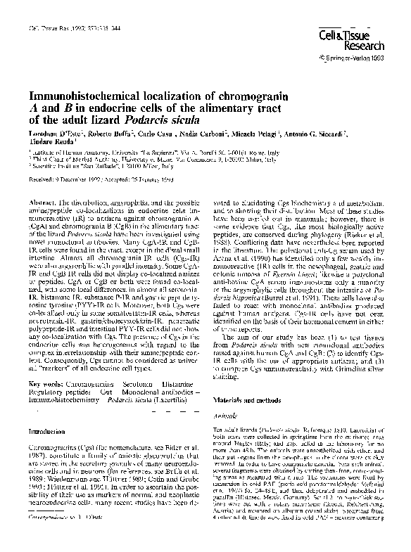 Alimentary tract and metabolism picture