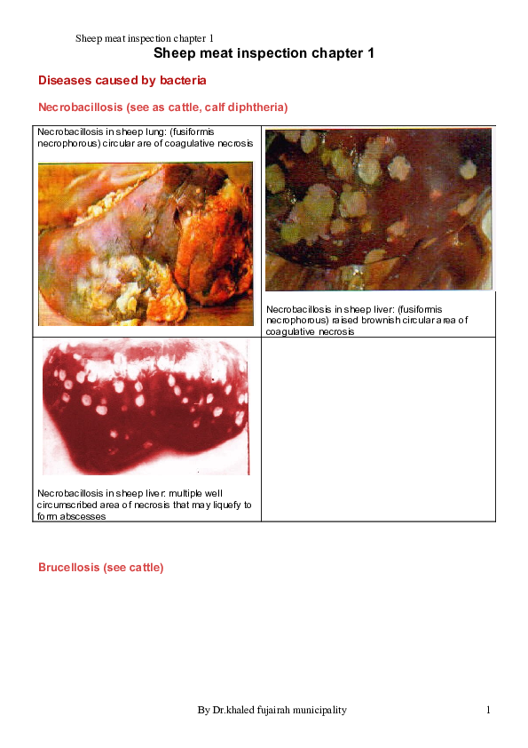 (PDF) Sheep meat inspection chapter 1