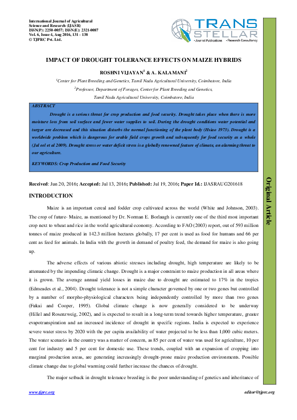 (PDF) IMPACT OF DROUGHT TOLERANCE EFFECTS ON MAIZE HYBRIDS