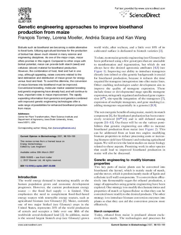 Genetic instructions definition picture